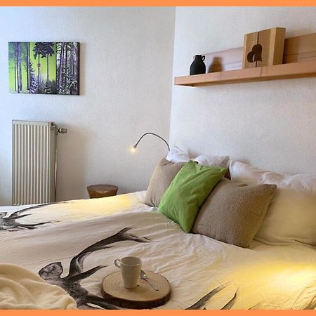 Baechle Im Wanderparadies Balkon Mit Blick Auf Den Bach Sauna Im Haus Tiefgarage E-Ladestation Todtnauberg Exteriér fotografie
