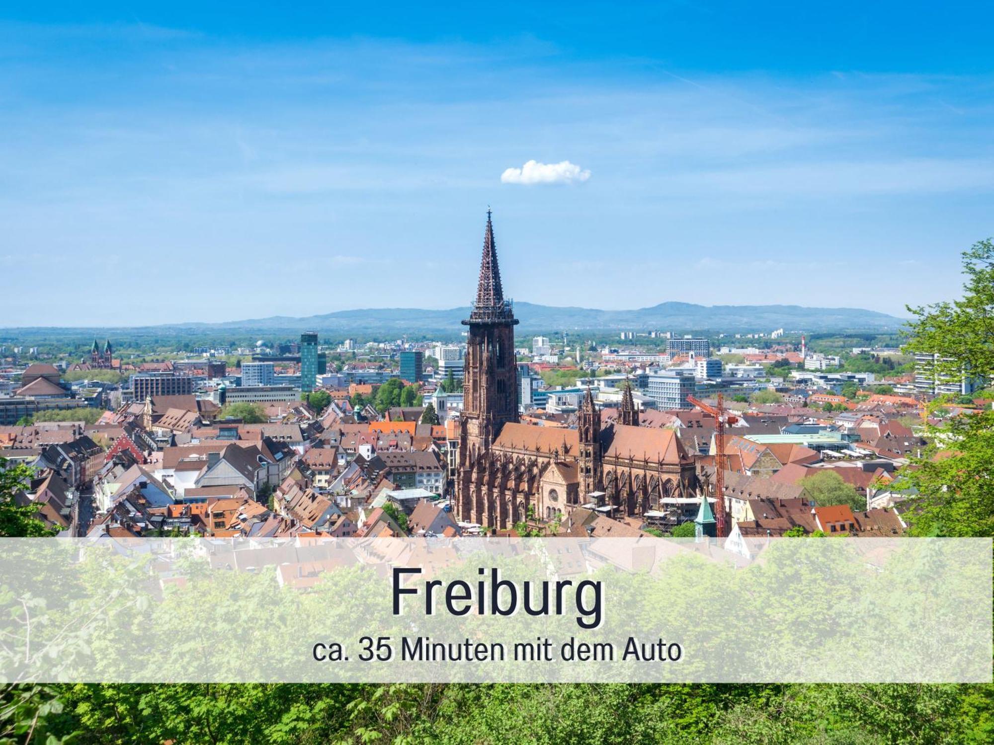 Baechle Im Wanderparadies Balkon Mit Blick Auf Den Bach Sauna Im Haus Tiefgarage E-Ladestation Todtnauberg Exteriér fotografie