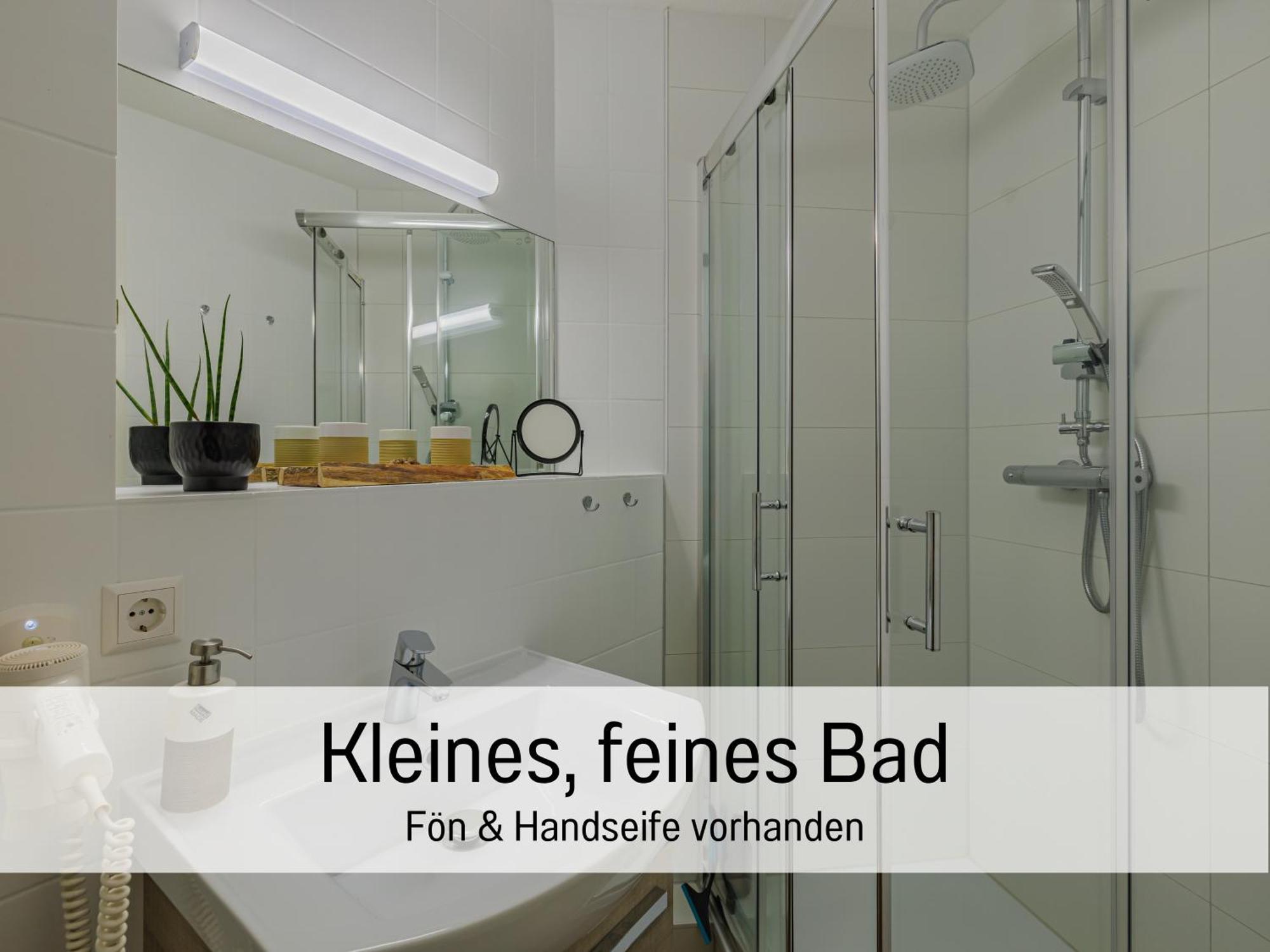 Baechle Im Wanderparadies Balkon Mit Blick Auf Den Bach Sauna Im Haus Tiefgarage E-Ladestation Todtnauberg Exteriér fotografie