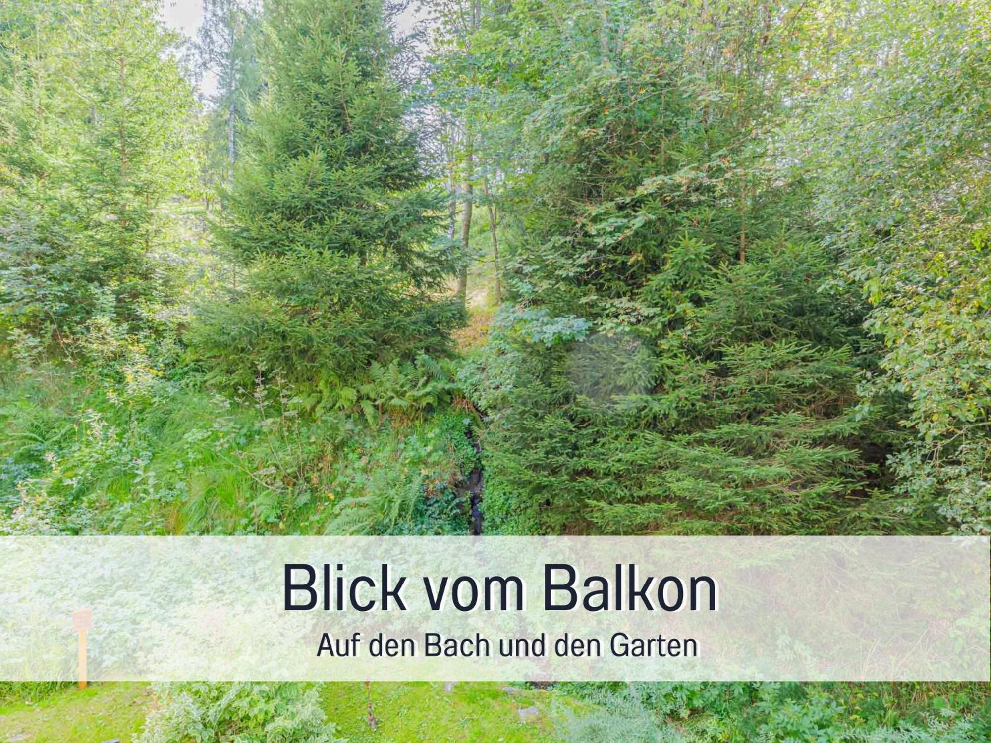 Baechle Im Wanderparadies Balkon Mit Blick Auf Den Bach Sauna Im Haus Tiefgarage E-Ladestation Todtnauberg Exteriér fotografie