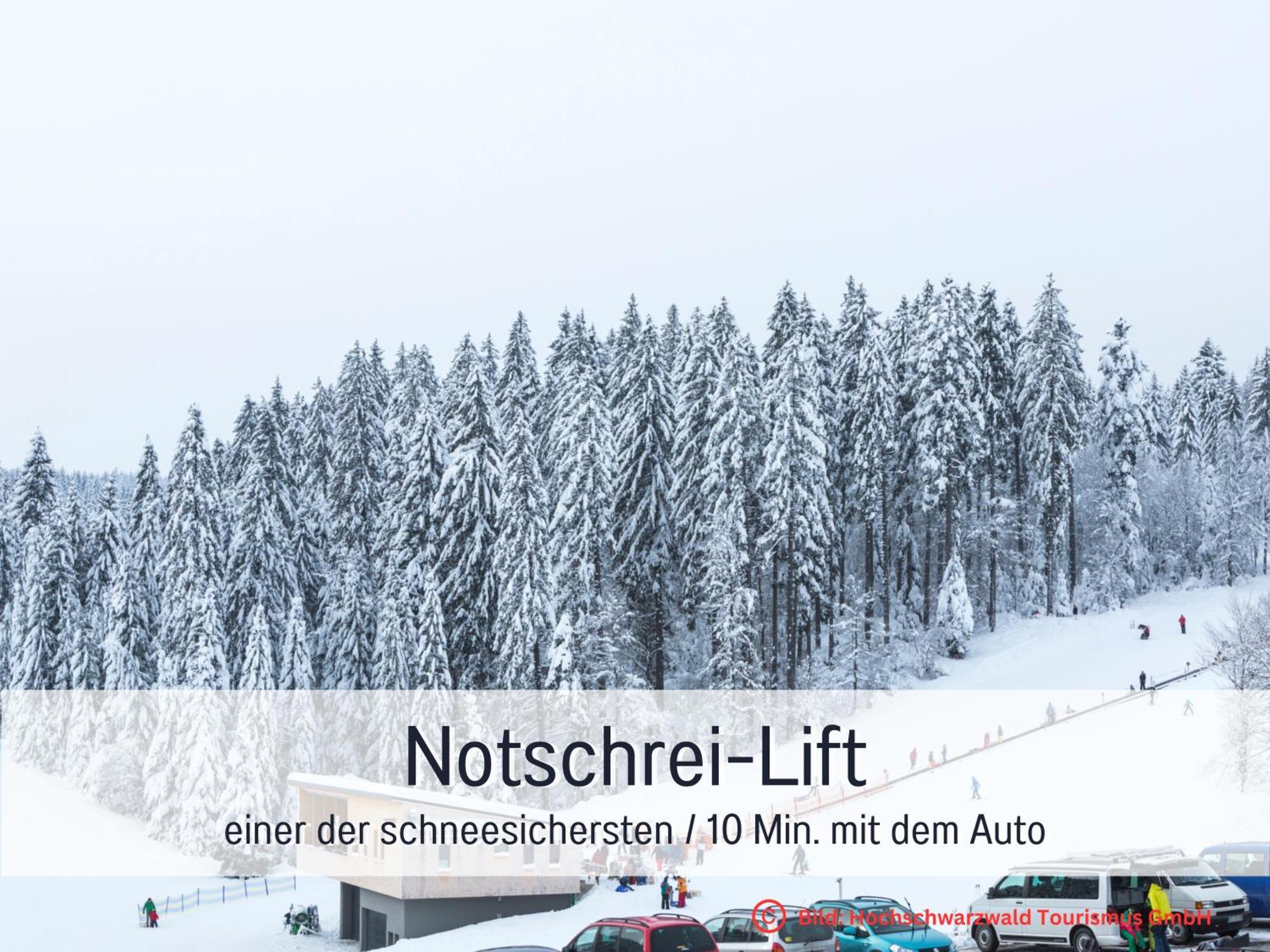 Baechle Im Wanderparadies Balkon Mit Blick Auf Den Bach Sauna Im Haus Tiefgarage E-Ladestation Todtnauberg Exteriér fotografie