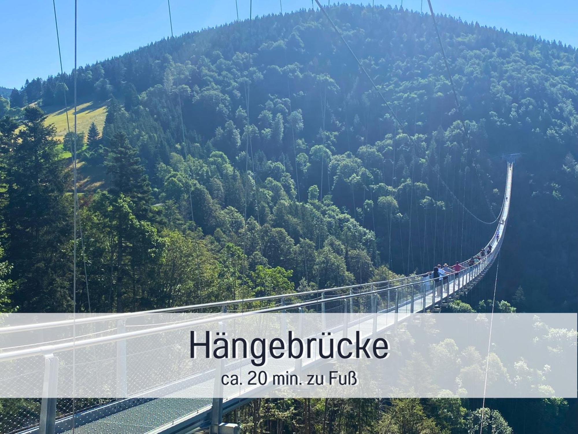 Baechle Im Wanderparadies Balkon Mit Blick Auf Den Bach Sauna Im Haus Tiefgarage E-Ladestation Todtnauberg Exteriér fotografie
